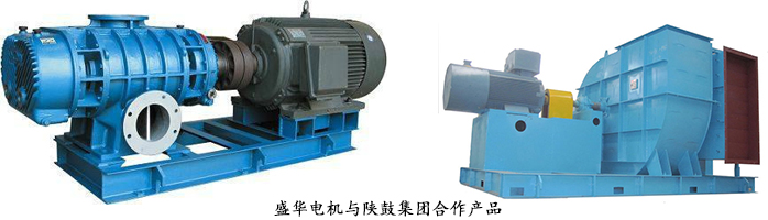 高效節(jié)能電機,山東電機廠,電機生產廠家.盛華電機,風機專用電機