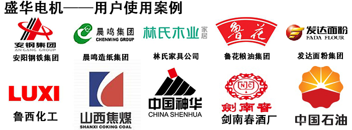 山東盛華電機生產(chǎn)廠家,高效節(jié)能電機,變頻調(diào)速電機