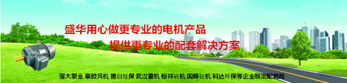 山東盛華電機(jī)生產(chǎn)廠家,輸送機(jī)專用電機(jī),電機(jī)定制 山東盛華電機(jī)生產(chǎn)廠家,輸送機(jī)專用電機(jī),電機(jī)定制