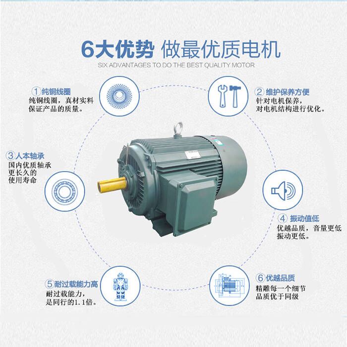 山東盛華電機生產(chǎn)廠家,高效節(jié)能電機,高原電機 山東盛華電機生產(chǎn)廠家,高效節(jié)能電機,高原電機