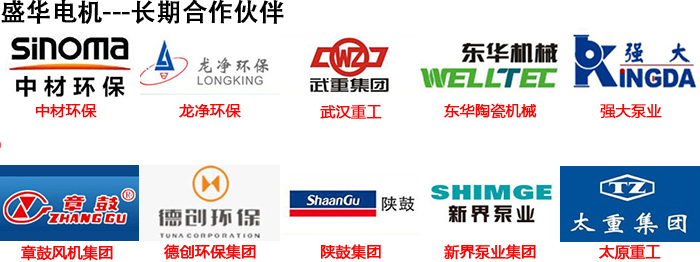 山東聊城盛華電機(jī)生產(chǎn)廠家,高效節(jié)能電機(jī),電機(jī)頻率