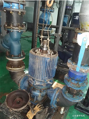 大功率電機.山東盛華電機生產廠家