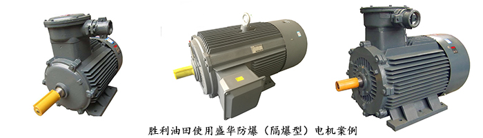 電機生產(chǎn)廠家,大功率電機,防爆電機