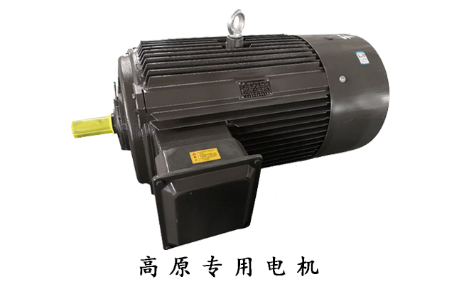 YL高原電機 山東電機廠家,電機生產(chǎn)廠家,高原電機廠,三相電動機,高原電機