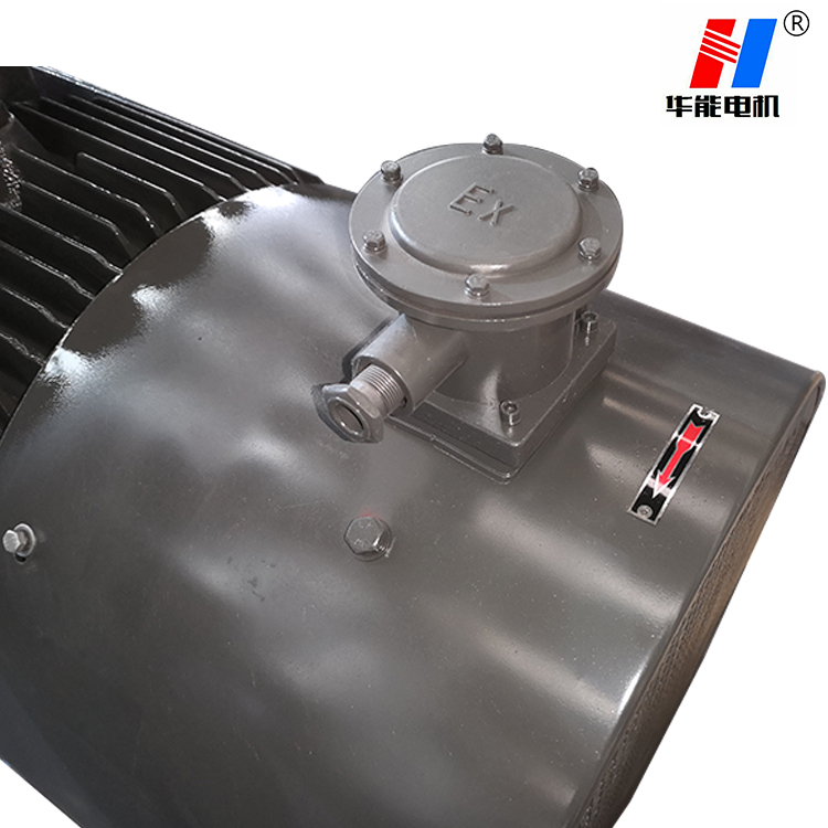 電機(jī)廠家,電機(jī)生產(chǎn)廠家,防爆三相電動機(jī)