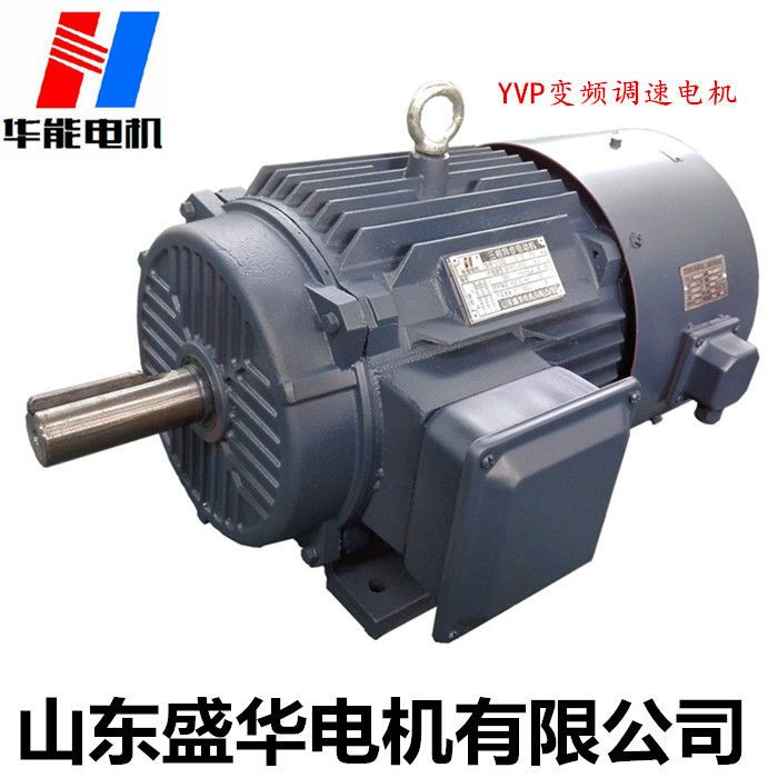 高效率變頻電機(jī) 山東電機(jī)廠,電機(jī)生產(chǎn)廠家,高效電機(jī),變頻電機(jī)