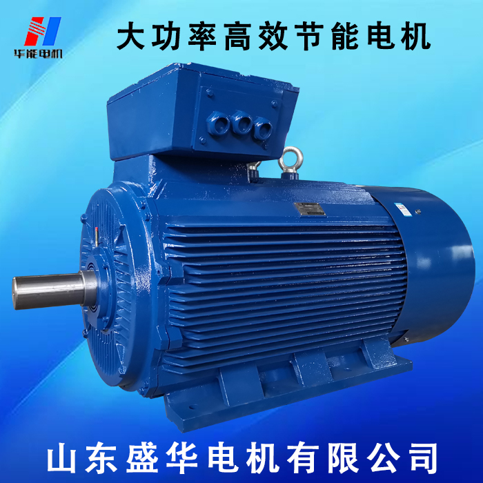 山東電機(jī)廠,電機(jī)定制廠家,電機(jī)生產(chǎn)廠家,大功率電動機(jī)