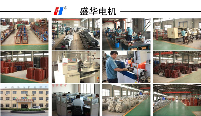 山東電機(jī)廠家,電機(jī)生產(chǎn)廠家,高效電機(jī),高效節(jié)能電機(jī)