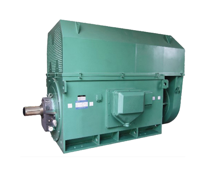 大功率電機,電機生產(chǎn)廠家,大功率電機生產(chǎn)廠家