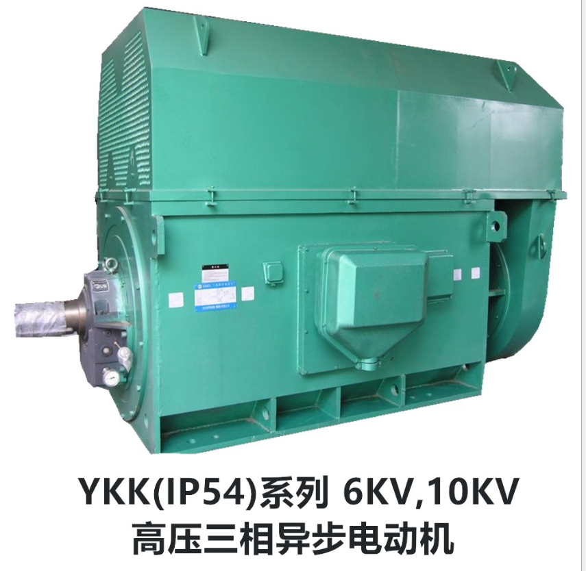 山東電機(jī)廠YKK大功率高壓電機(jī)
