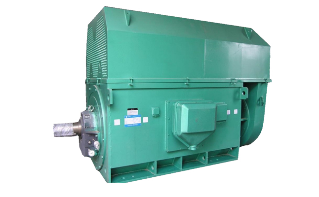 山東盛華電機(jī)廠大功率高壓電機(jī)