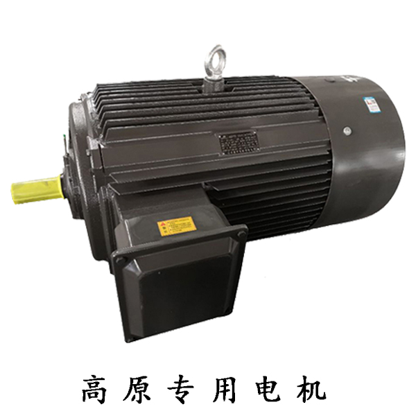高原專用電機(jī)